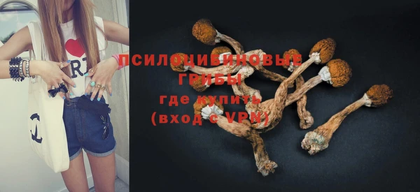 тгк Арсеньев