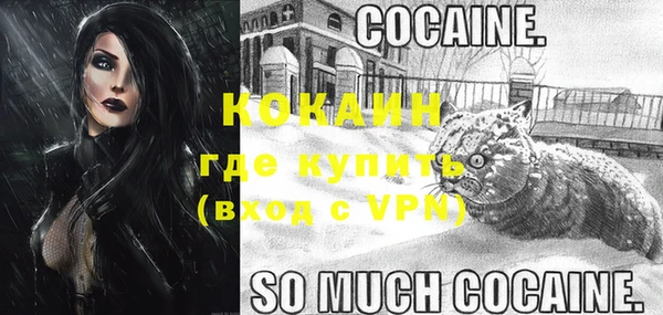 тгк Арсеньев