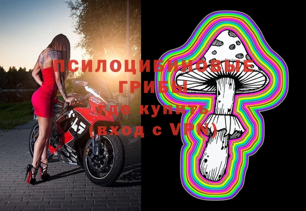 тгк Арсеньев