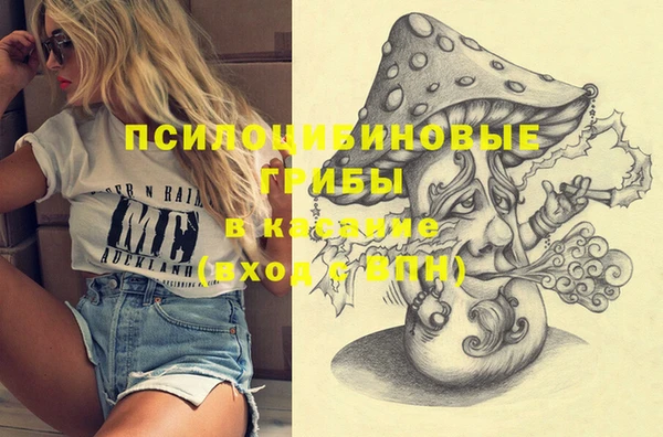 бошки Армянск